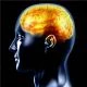 MEMORY-ASSIST - A New 2013 Formula which includes Our unique Ruby ~Red Gold